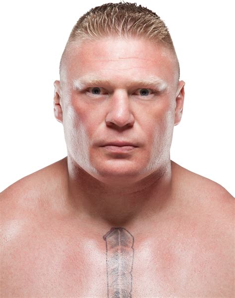 brock lesnar look at my face|brock lesnar face change.